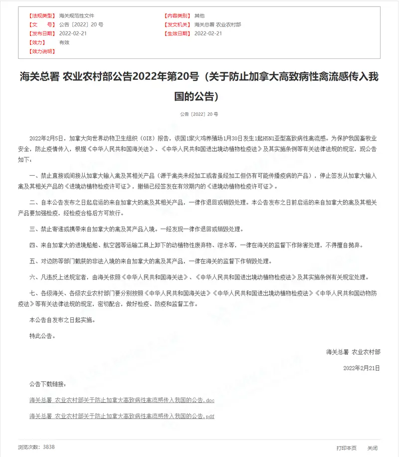 铲屎官们小心!加拿大爆发禽流感影响进口宠物粮