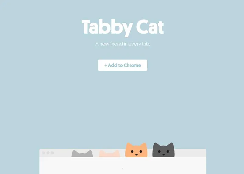 Tabby Cat