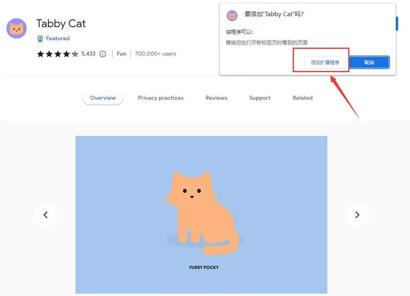 Tabby Cat