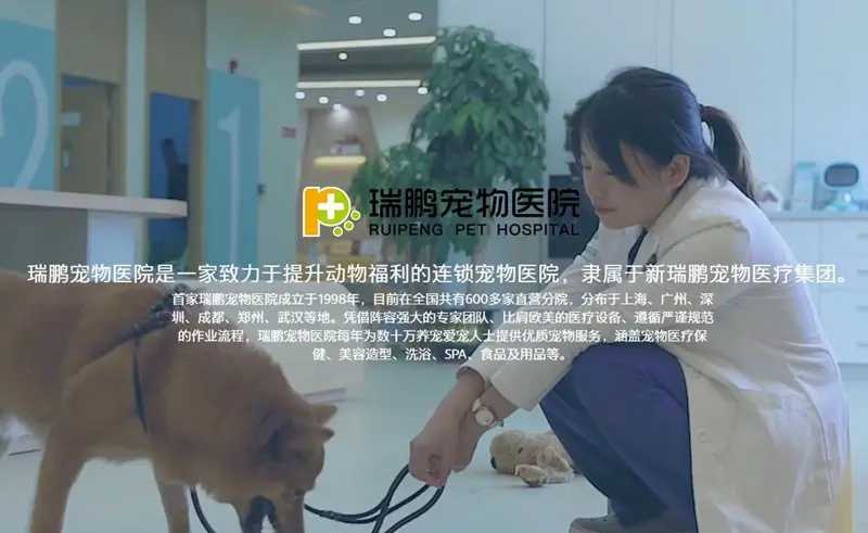 瑞鹏宠物医院回应“医生狂踹虐待猫咪”：已开除，门店停业整改！