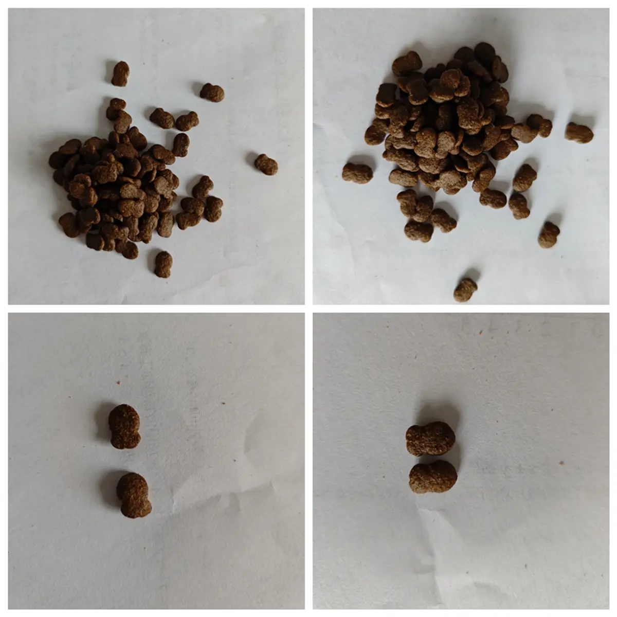 顽皮 HAPPY100 醇鲜粮 全价成猫粮 含鳀鱼鸭肉配方